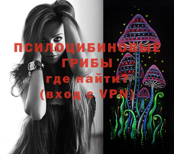 марки lsd Новозыбков