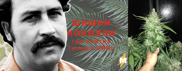 марки lsd Новозыбков