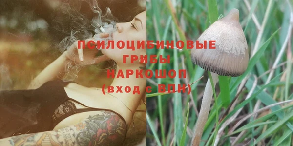 меф Новодвинск
